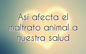 Así afecta el maltrato animal a nuestra salud